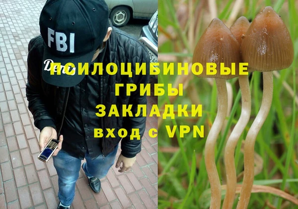 молекула духа Белоозёрский
