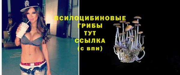 прущие грибы Белокуриха