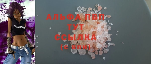 молекула духа Белоозёрский