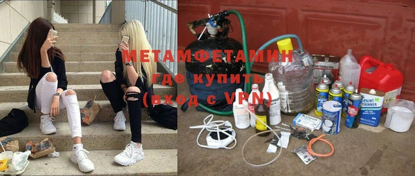 прущие грибы Белокуриха