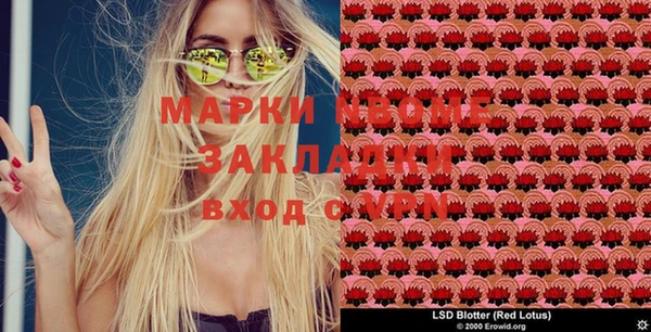 молекула духа Белоозёрский