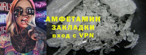 прущие грибы Белокуриха