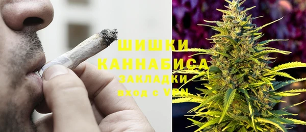 прущие грибы Белокуриха