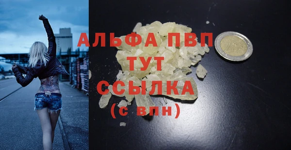 прущие грибы Белокуриха