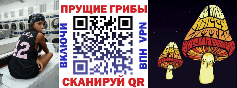 магазин  наркотиков  Макаров  ОМГ ОМГ tor  Галлюциногенные грибы Magic Shrooms 